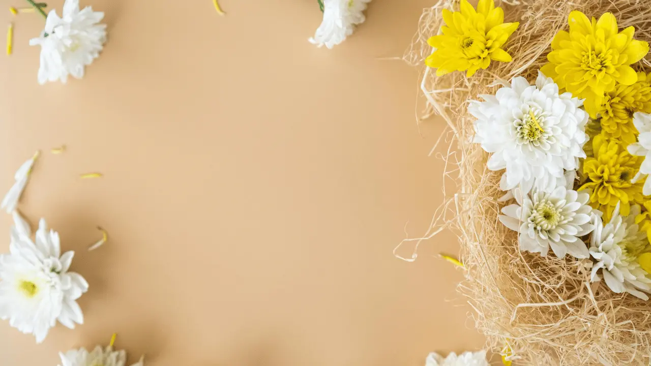 دوري المحترفين: أبو قير للأسمدة يحمي صدارته رغم خسارة الجولة 13